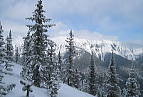カナダブラックプリンセス山山スキー　２００４年１月２５日