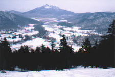 尾瀬　至仏山から見た尾瀬ヶ原と燧ヶ岳　１９９０年